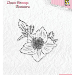 Clear stamps Flowers, Helleborus