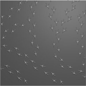 52557 - Nellie's Choice 3D Embossing Folder Birdfeet