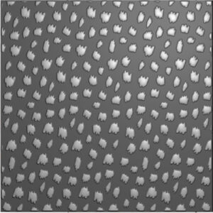 52558 - Nellie's Choice 3D Embossing Folder Cheetah