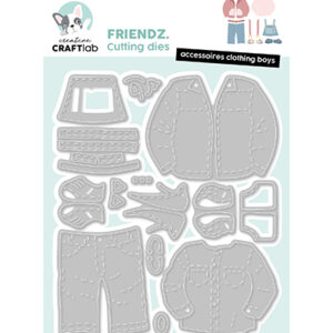 CCL-FR-CD911 - Accessoires clothing boys Friendz nr.911