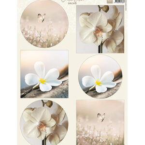 VK9624 - Marianne Design Knipvel A4, Condoleance - Orchid