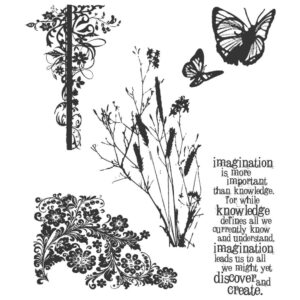 CMS049 Tim Holtz Cling Rubber Stamp Nature’s Discovery