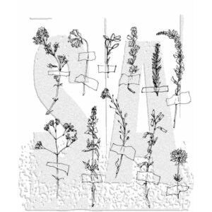 CMS481 Tim Holtz Cling Stamps Forgotten Garden