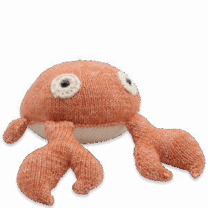 DIY Breipakket - Karel Krab