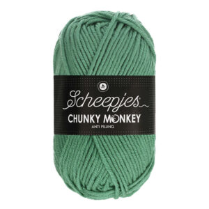 Scheepjes Chunky Monkey 1725 Eucalyptus
