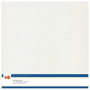 LKK-SC24 Linen Cardstock 30,5x30,5 cm Light Grey 10pcs