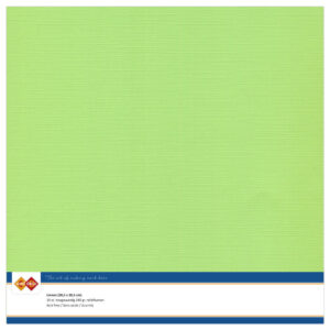 LKK-SC21 Linen Cardstock 30,5x30,5 cm May Green 10pcs