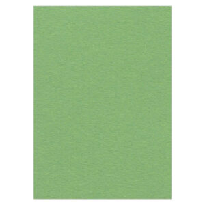 CDEFK-A416 Photo Cardstock A4 Appel Green 270 gr 10pcs